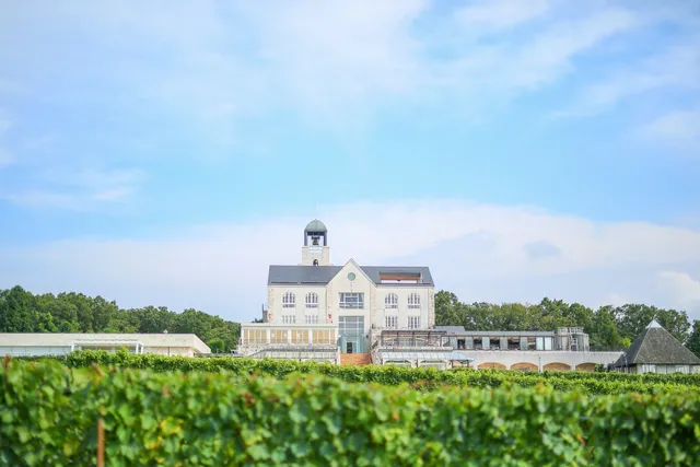 Nakaizu winery Chateau T · S