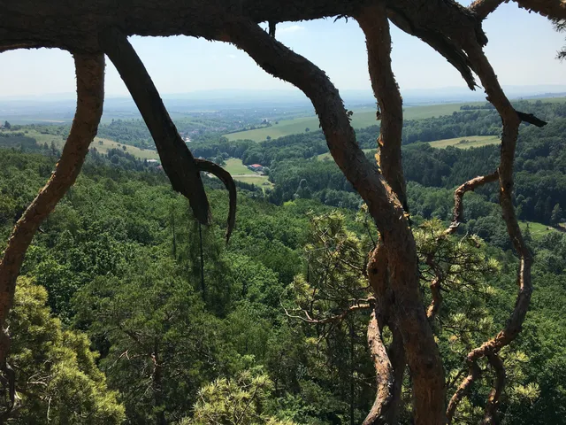 Břestecká Skála Přírodní Památka