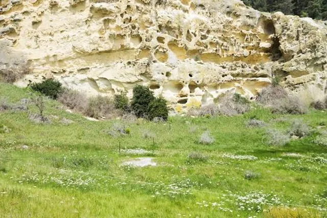 Okruh Václava Levého