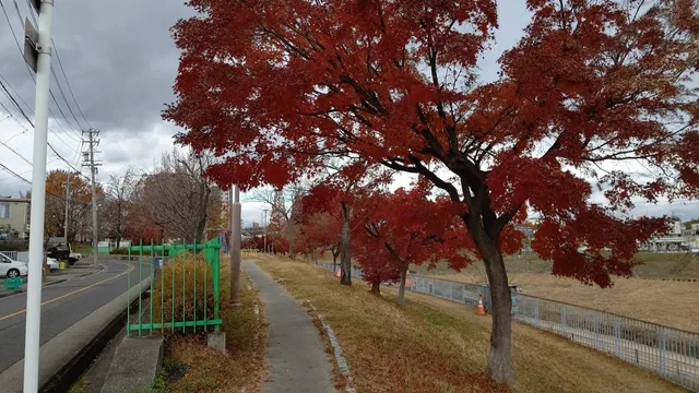 Kanameike Park