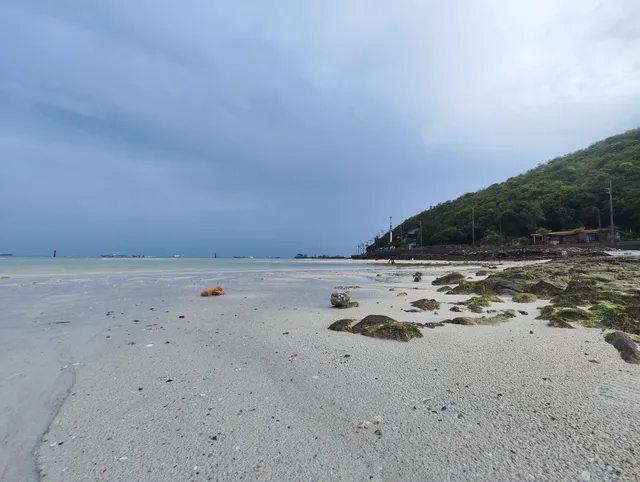 CORAL ISLAND PATTAYA BEACH VIEW POINT