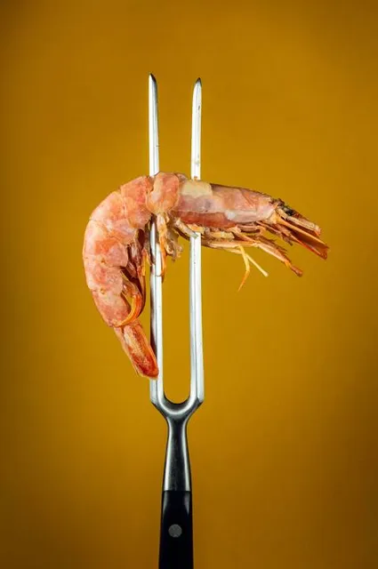 Rails West History Museum