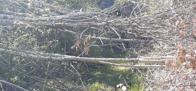 Via fluvia Bourg-Argental Saint-Sauveur-en-Rue