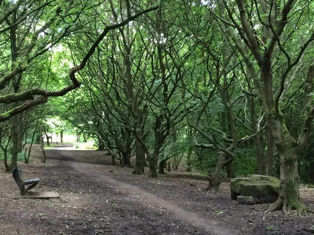 Belper Park Local Natural Reserve