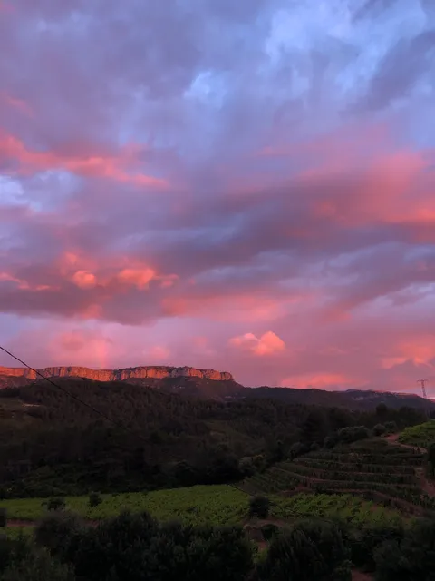 Pradell de la Teixeta