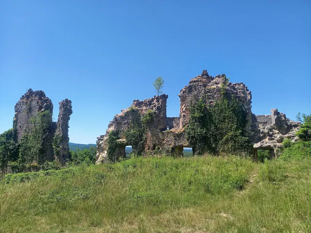 Château de La Tour-du-Meix