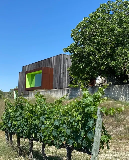 Mas Rodó Vitivinícola