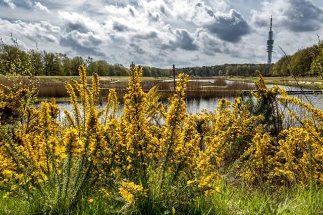 Goois Natuurreservaat Zanderij Crailo