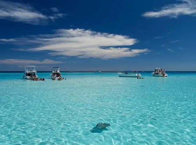 Stingray City Antigua