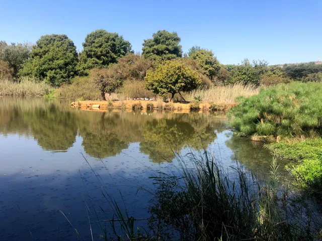 Austin Roberts Bird Sanctuary