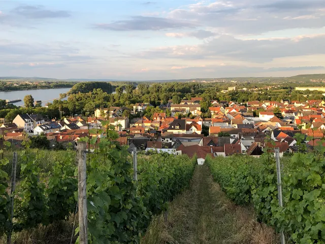 Weingut Hemmes