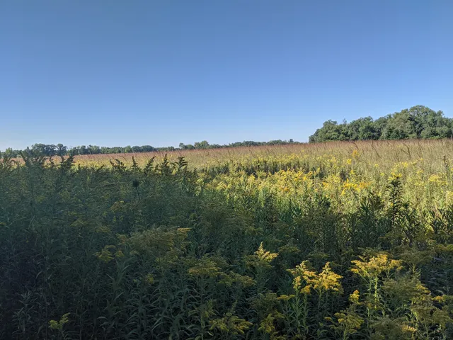 Riverland Conservancy Merrimac Preserve
