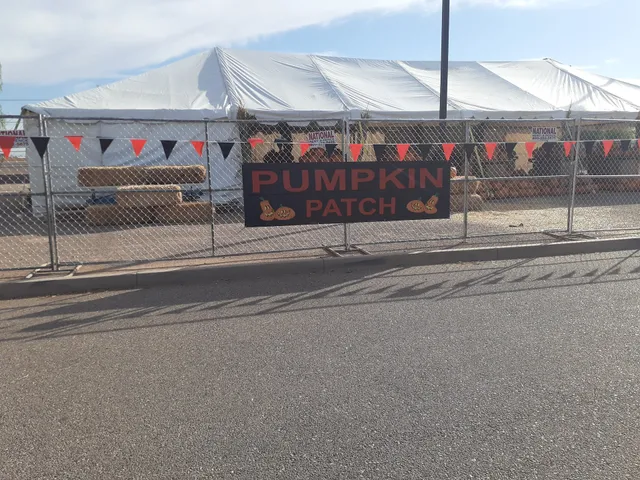 Commons At Palm Creek