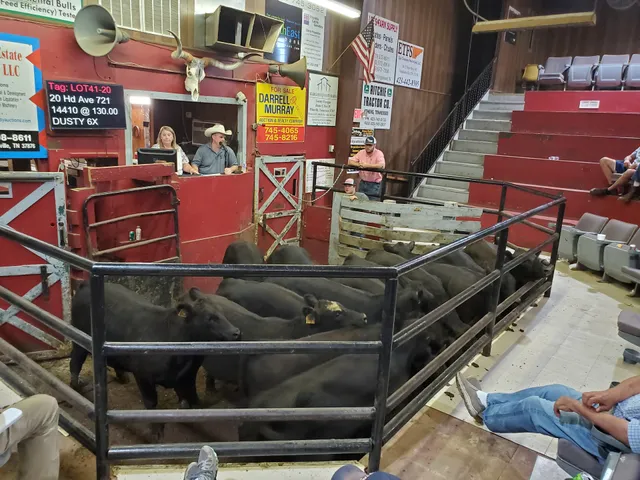 Athens Regional Stockyard