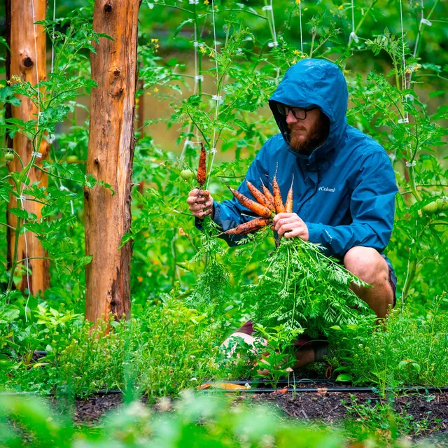 Millboro and Co. Farm