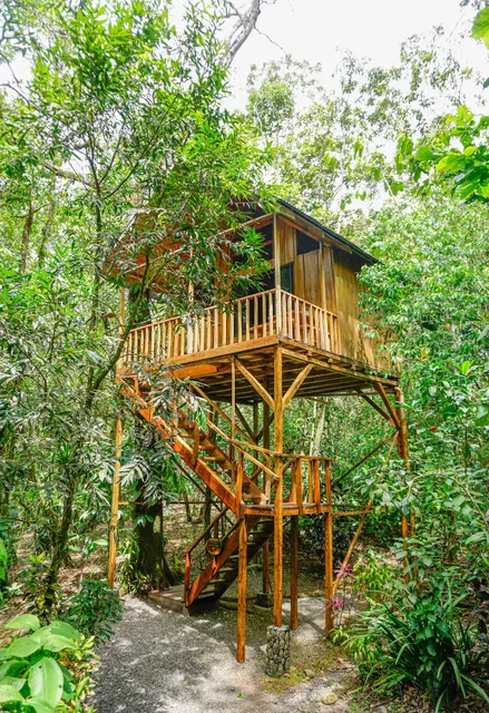 Tree Houses Hotel Costa Rica