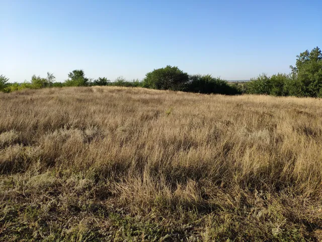 photo-1