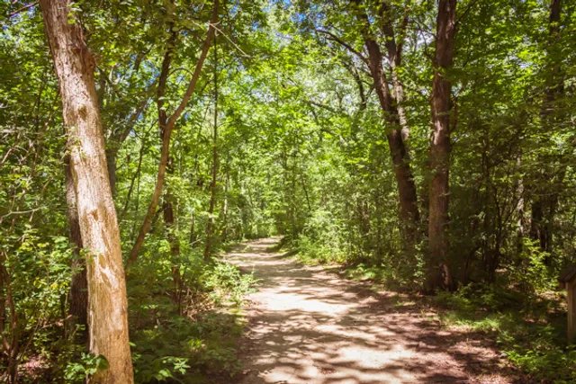 Robert O Cook Memorial Arboretum