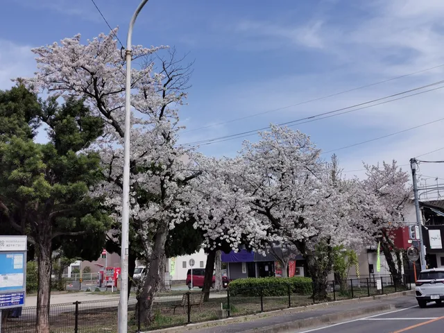 Chihaya City Sports Park