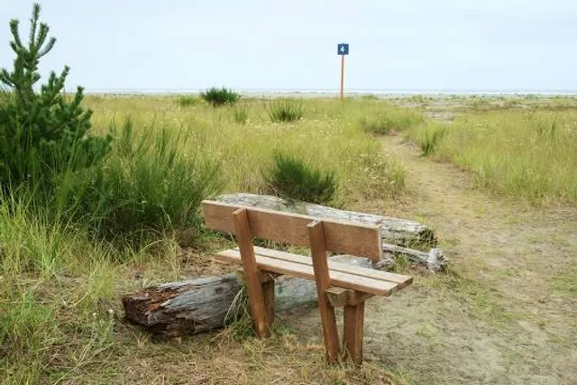 Grayland Beach State Park