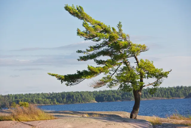 Killbear Provincial Park