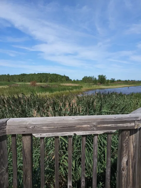 Pickerel Creek Wildlife Area