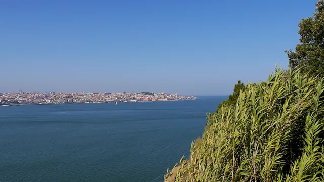 Jardim Botânico - Chão das Artes