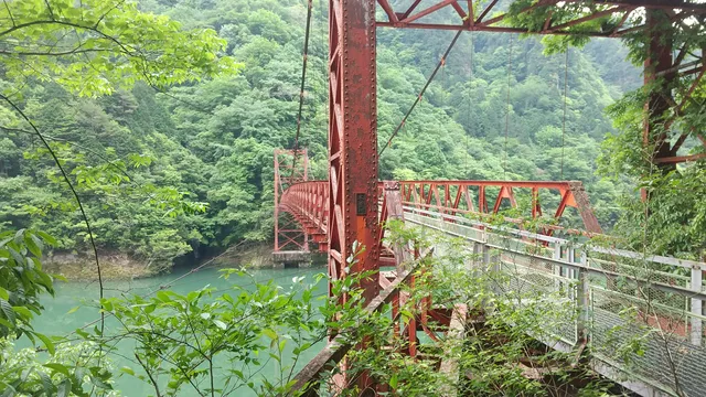 photo-3