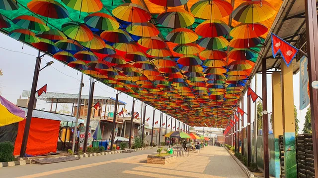 UMBRELLA STREET, PATIHANI