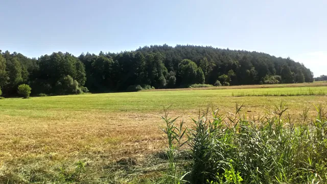 Rezerwat przyrody Wólczańska Góra