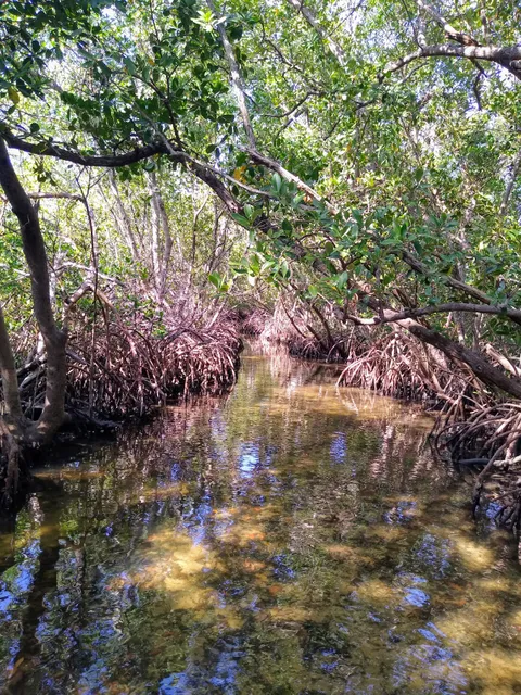 Ted Sperling Park Nature Trail