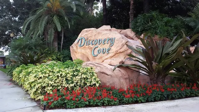 Discovery Cove
