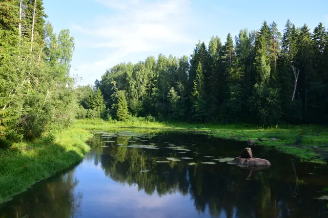 Ojaäärse matkarada