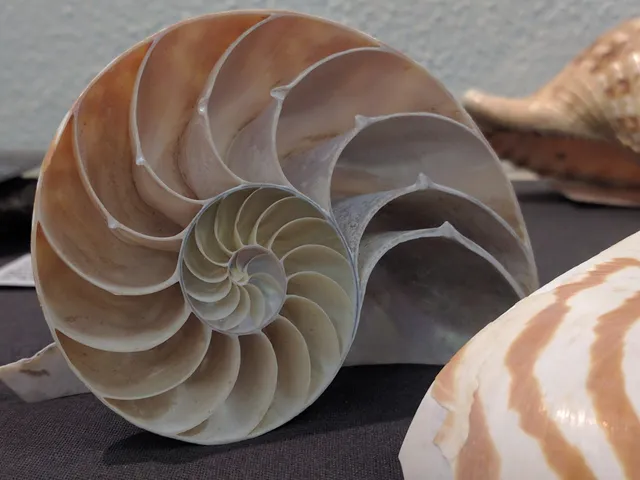 Cockburn Geological Museum