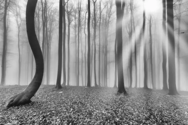 Parc Lucien-Blanchard