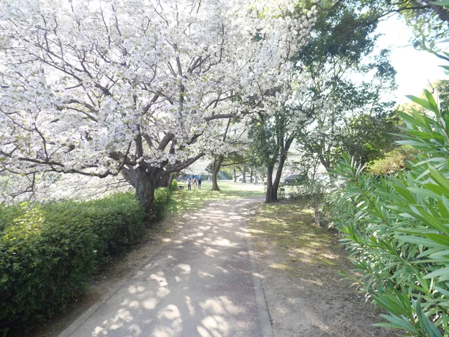 Yokohama Park