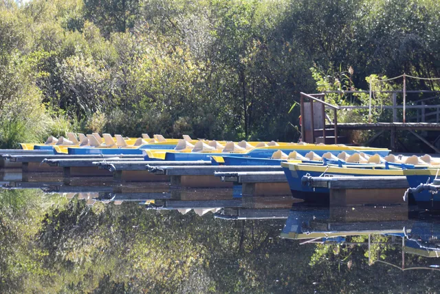 MUSEE DES TRADITIONS Association Culturelle Biscarrossaise