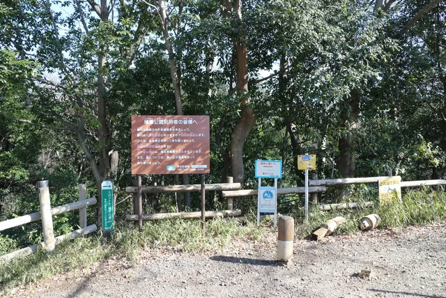 place image
