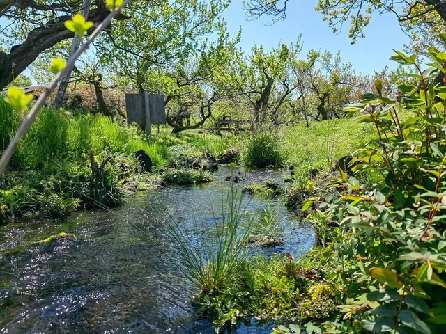 Odawara Suwanohara Park