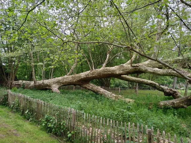 Frédéric Passy Environmental Park