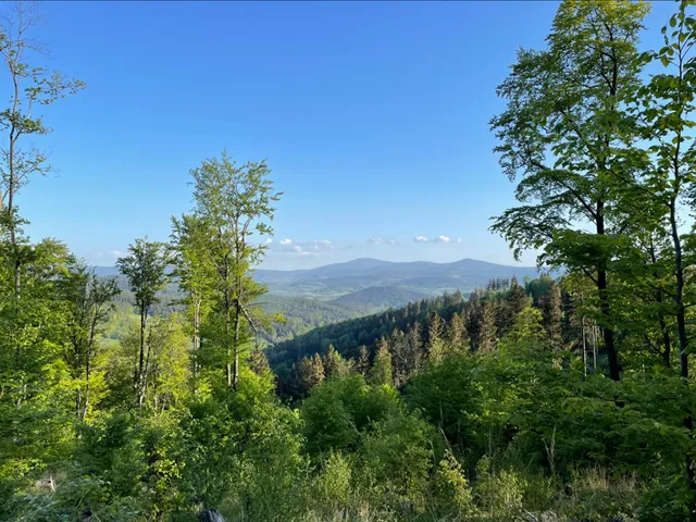 Singletrack Glacensis „Pętla Orłowiec”
