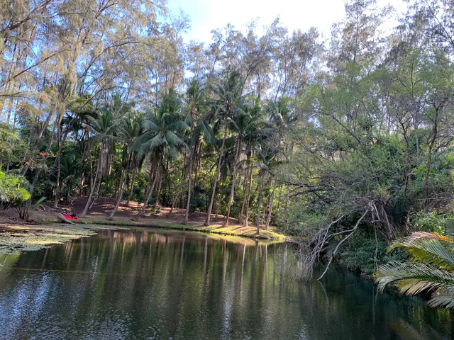 Bamburi Forest Trails
