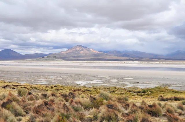 Monumento Natural Salar de Surire