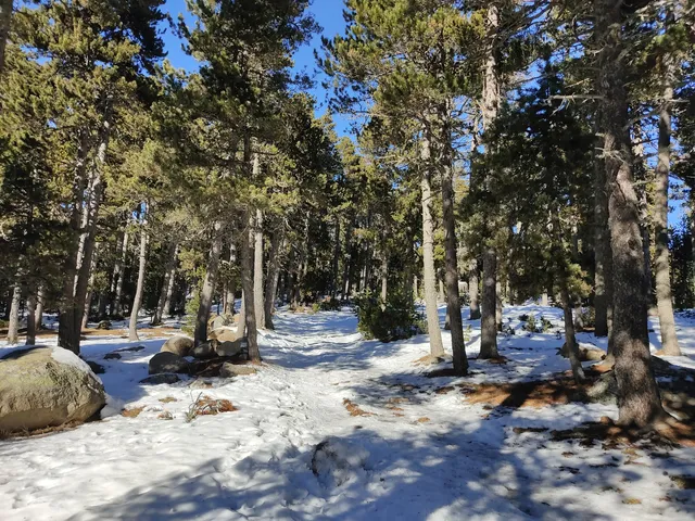 Domaine Les Estanyols