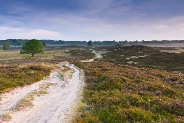 Gasterse Duinen
