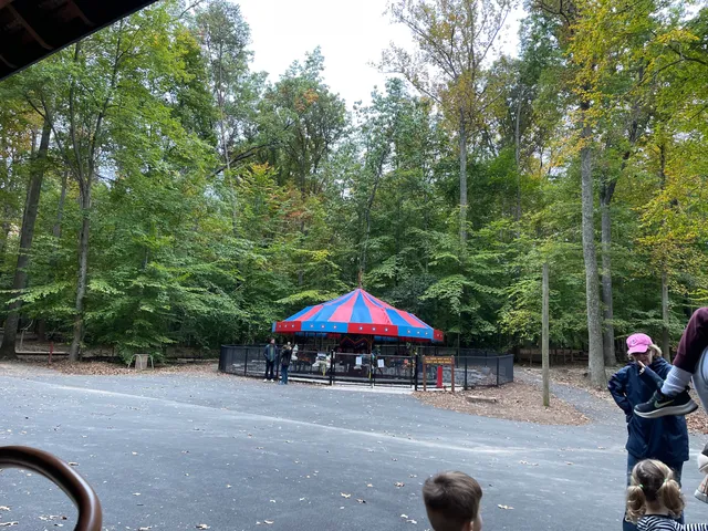 Burke Lake Train & Carousel