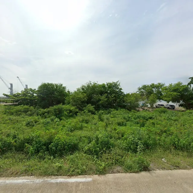 รัานนัองกุ้งผัดไทย