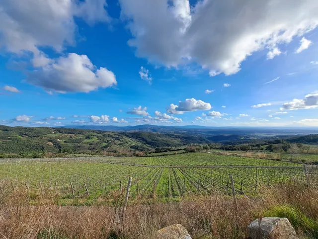 Poggio di Nocola - Toscana