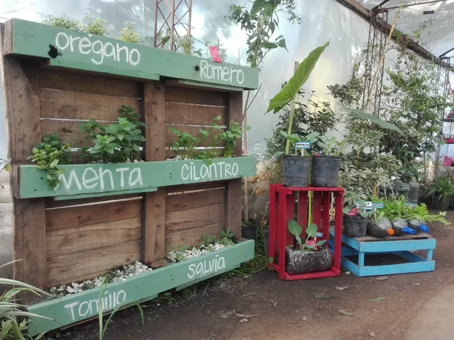 Vivero Inclusivo Sembrando Sueños