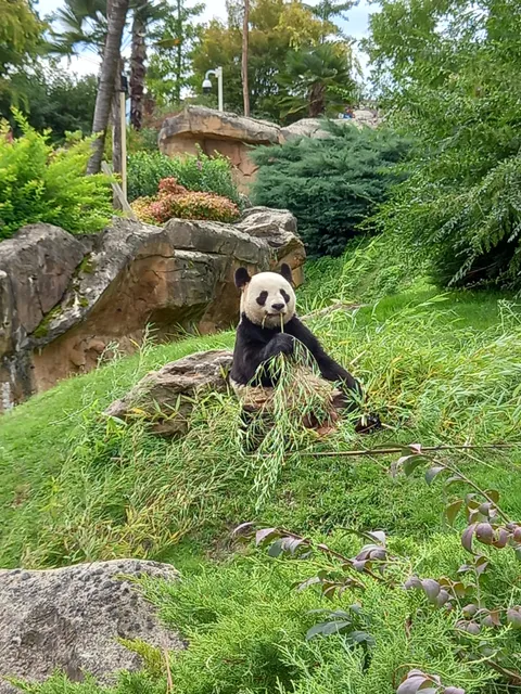 ZooParc de Beauval Entrée Nord